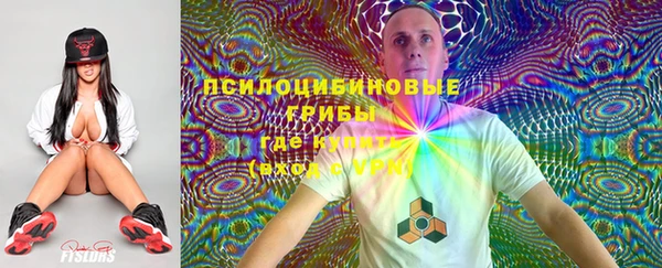 мдпв Володарск