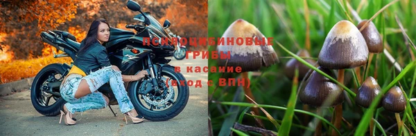 мдпв Володарск