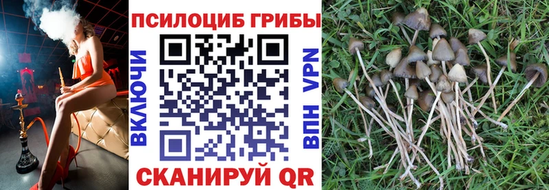 где продают наркотики  Островной  Галлюциногенные грибы ЛСД 